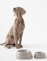 2.8 Design for Dogs - SEBASTIAO - bols alimentaires - warm grey - 4