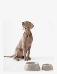 2.8 Design for Dogs - SEBASTIAO - bols alimentaires - warm grey - 1