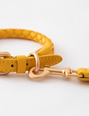 2.8 Design for Dogs - FERDINANDO COLLAR - hundehalsbänder - tuscan yellow - 2
