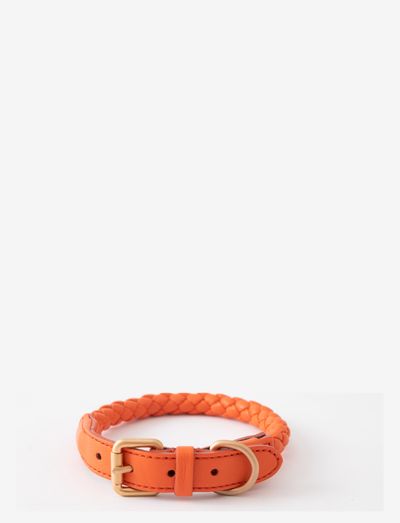 FERDINANDO COLLAR - colliers pour chiens - tangerine orange