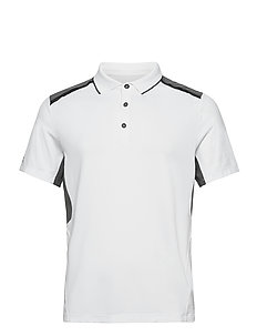 abacus polo