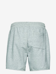 abercrombie & fitch mens shorts