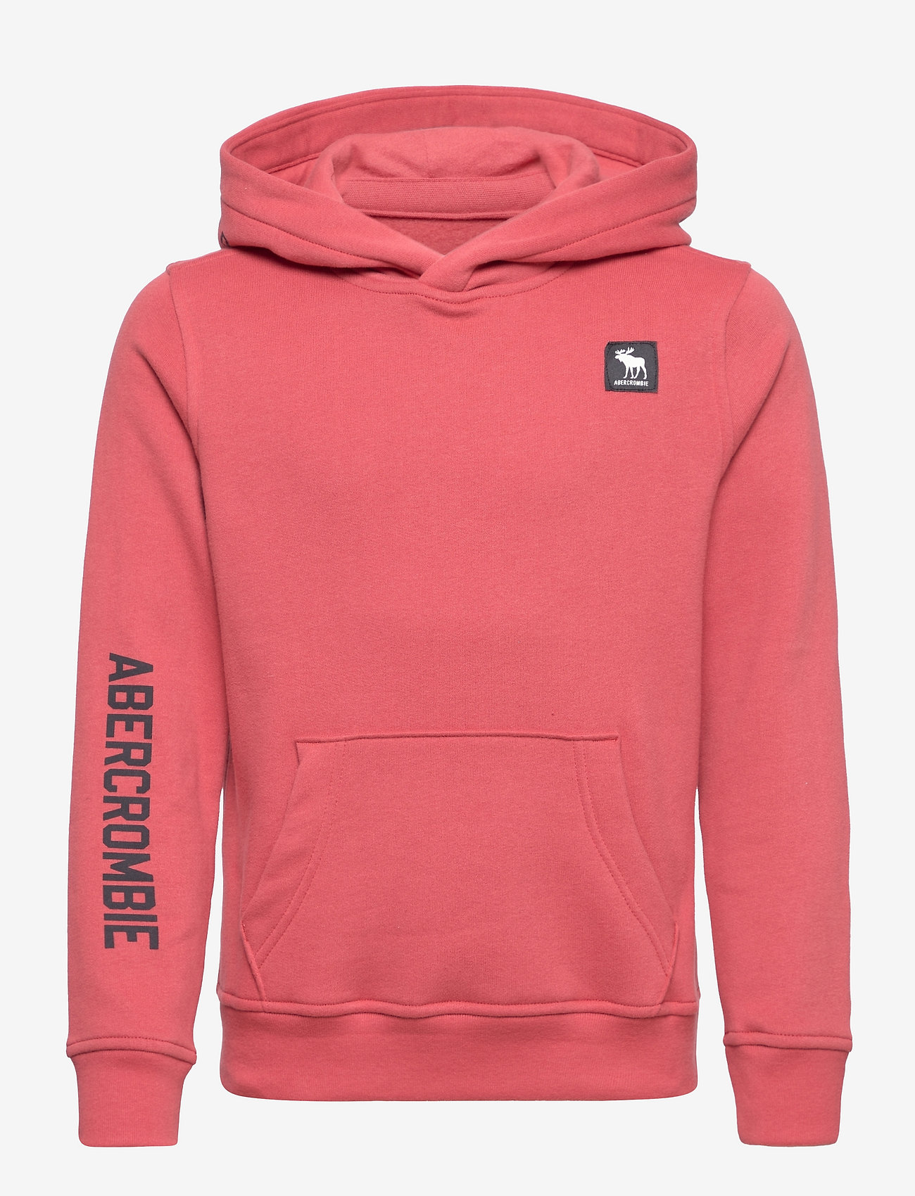 abercrombie boys hoodie