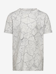 Abercrombie & Fitch - kids BOYS KNITS - t-shirts à manches courtes - grey cracked pattern - 0