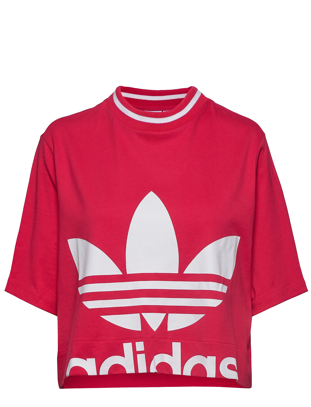 adidas originals cropped tee