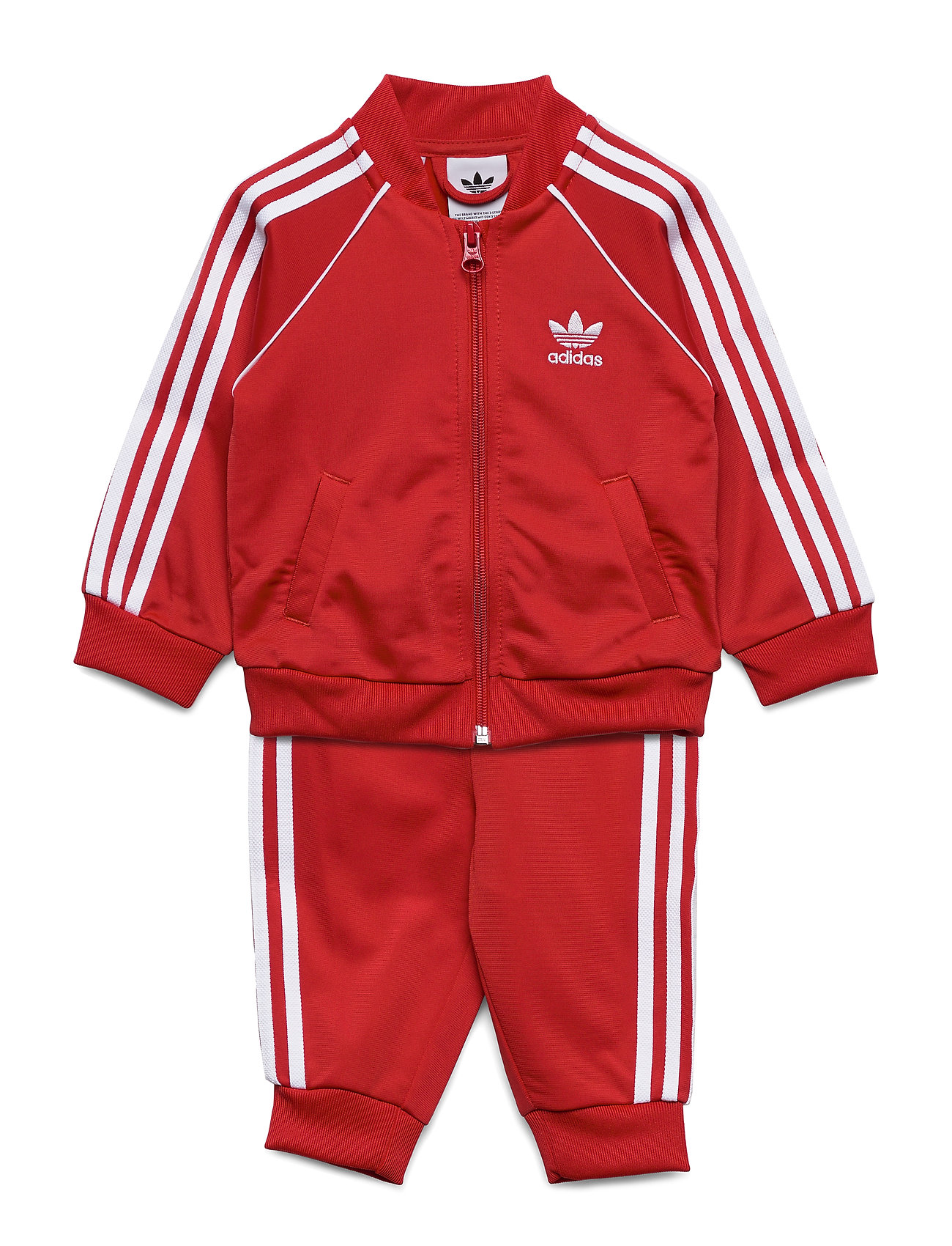 suit with adidas superstar