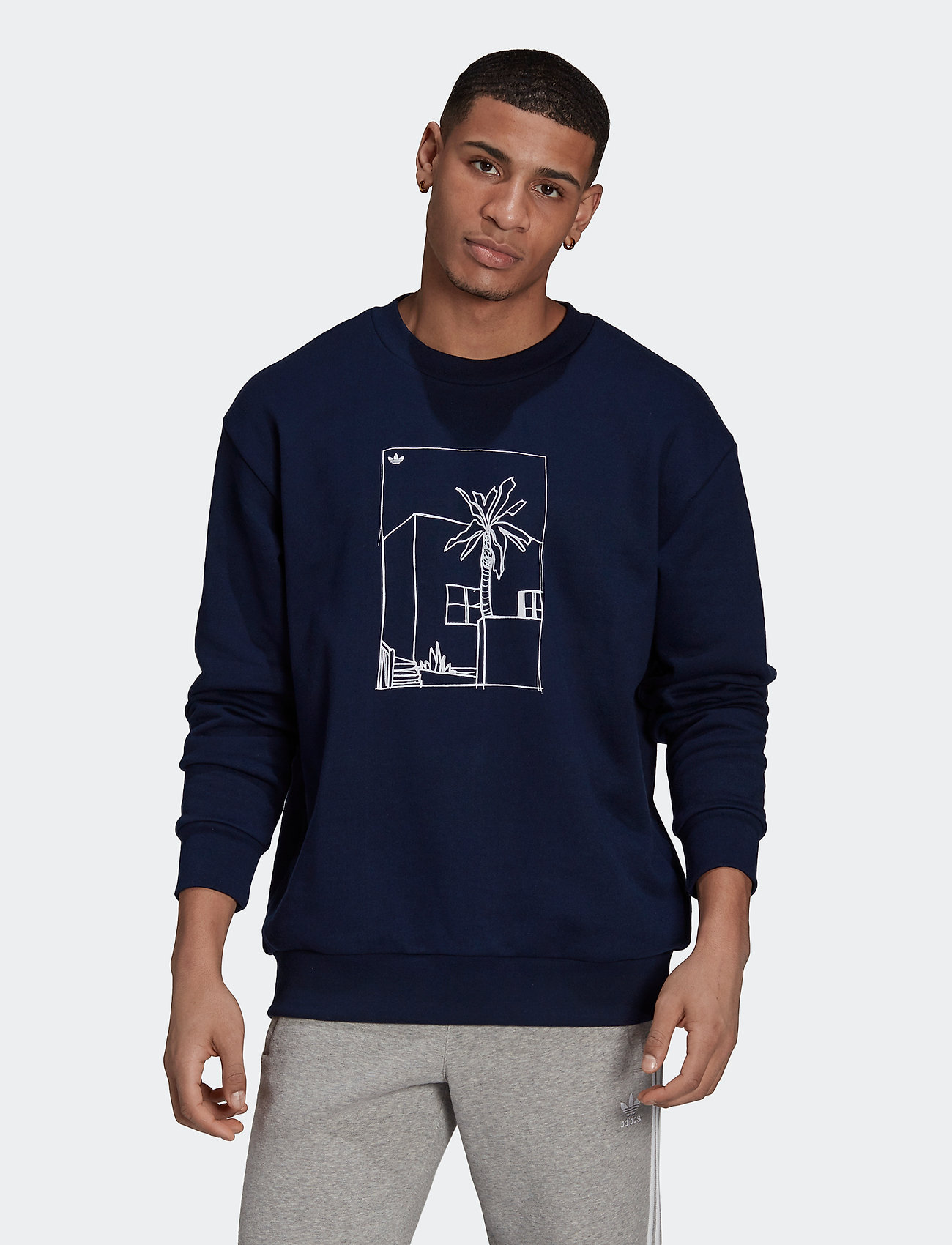 romanforfatter Michelangelo grill adidas Originals Graphic Crewneck Sweatshirt - Sweatshirts | Boozt.com