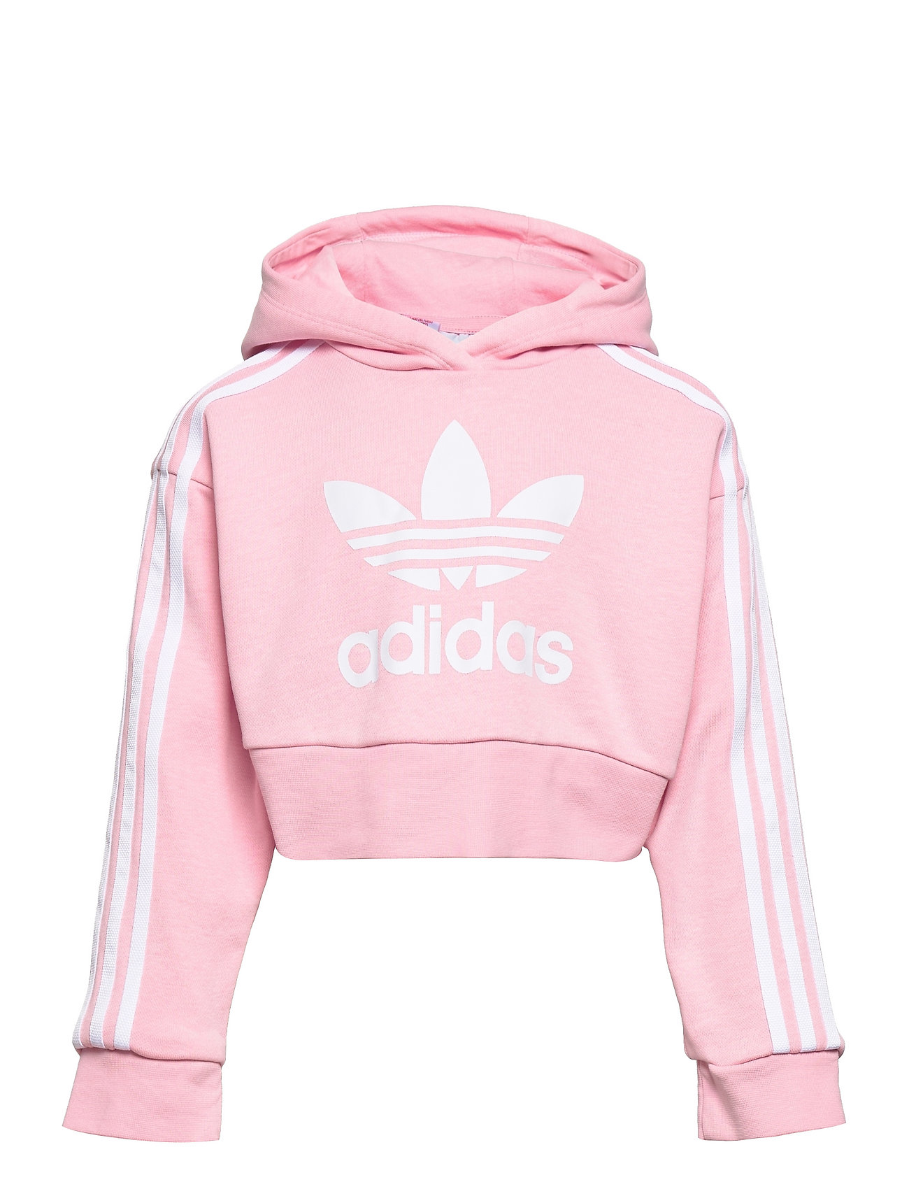 adicolor cropped hoodie