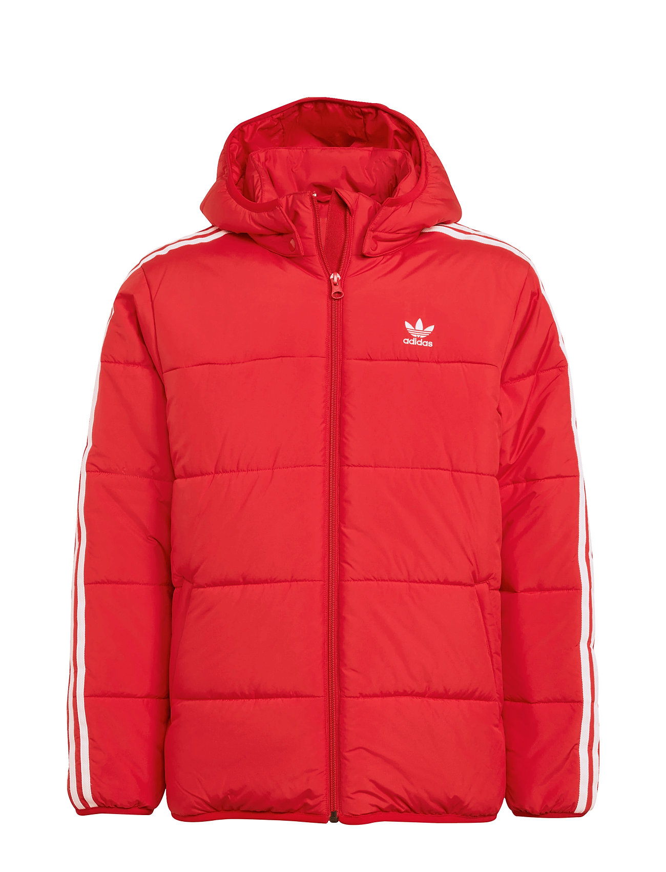 Sportswear Adidas Winter Loose Jacket Adidas Originals Padded