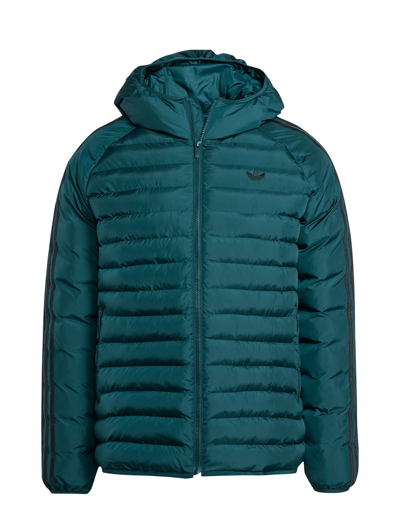 ADIDAS ORIGINALS Pad Hooded Jkt Grün - XXL - Herren