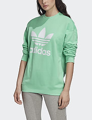 trf crew sweat adidas