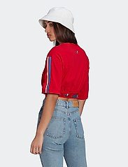 adicolor primeblue tricolor cropped tee