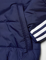 adidas Originals - Adicolor Jacket - isolerede jakker - ngtsky/white - 5
