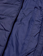 adidas Originals - Adicolor Jacket - isolerede jakker - ngtsky/white - 6
