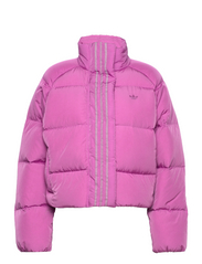 adidas Originals Short Down Jacket – down- & padded jackets – shop at  Booztlet