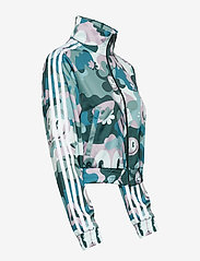 Contemp Bb Tt (Multco) (27.98 €) adidas Originals Contemp Bb Tt (Multco) (27.98 €) adidas Originals