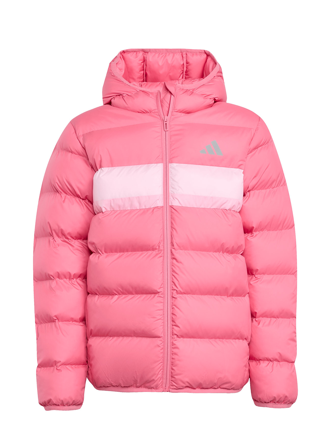 ADIDAS SPORTSWEAR J Sd Jkt Pink - 176 - Kinder