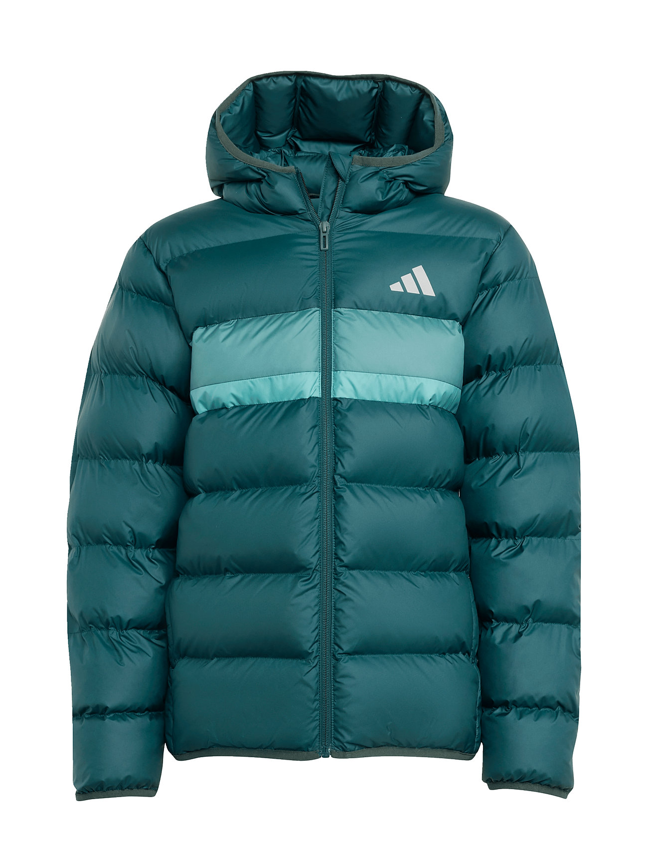 ADIDAS SPORTSWEAR J Sd Jkt Grün - 164 - Kinder