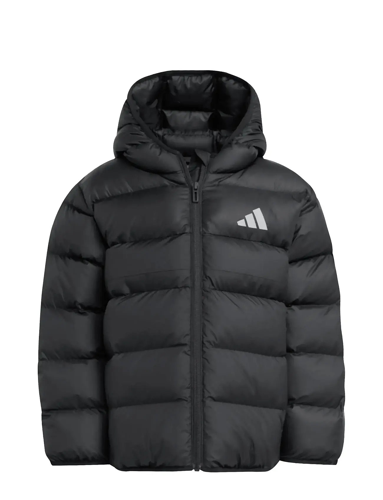 ADIDAS SPORTSWEAR Lk Sd Jkt Schwarz - 128 - Kinder