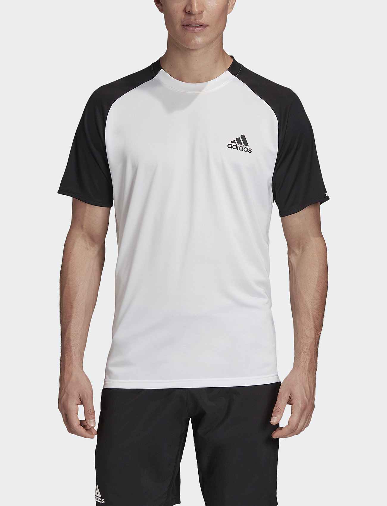 adidas club tee tennis