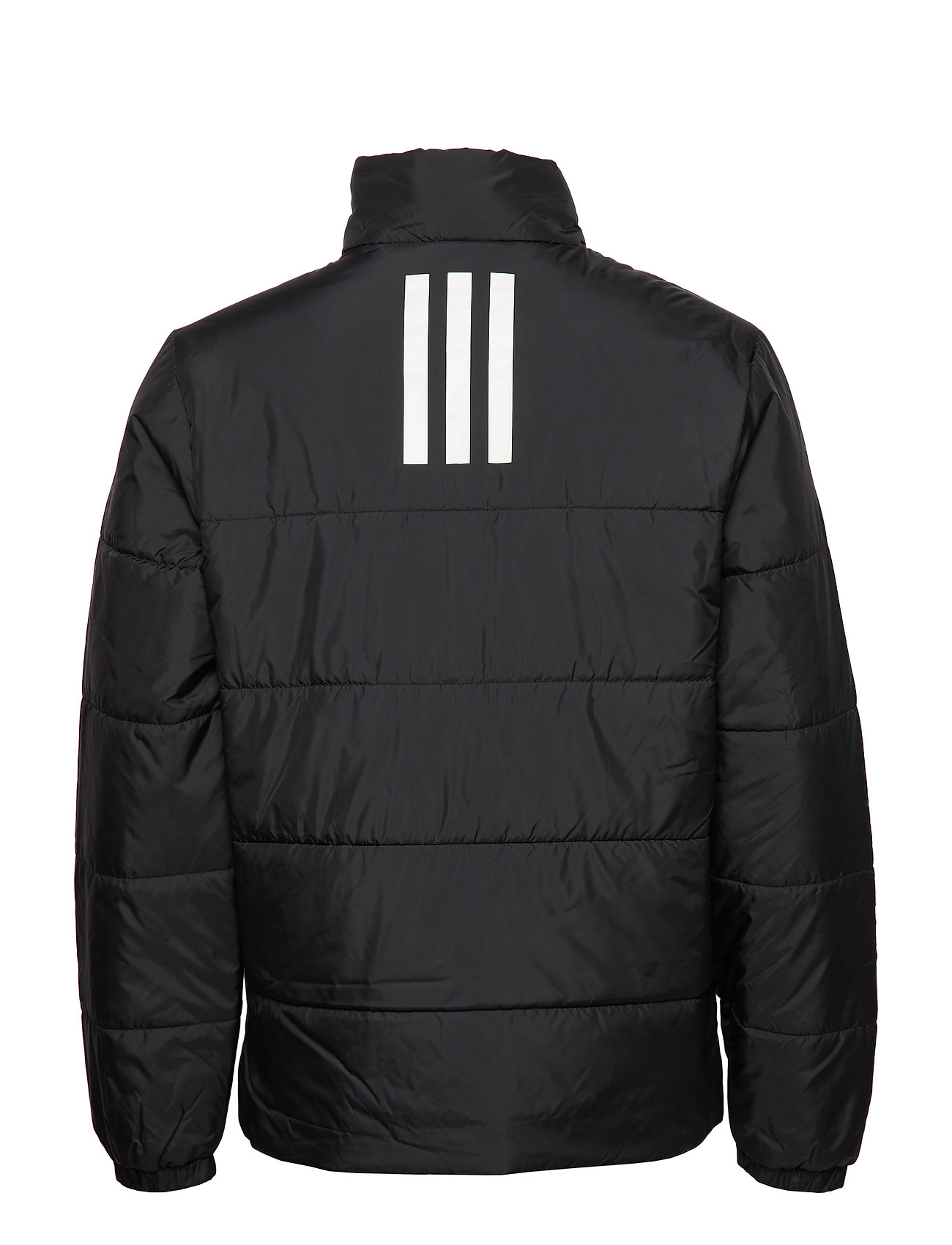 adidas bsc ins jkt