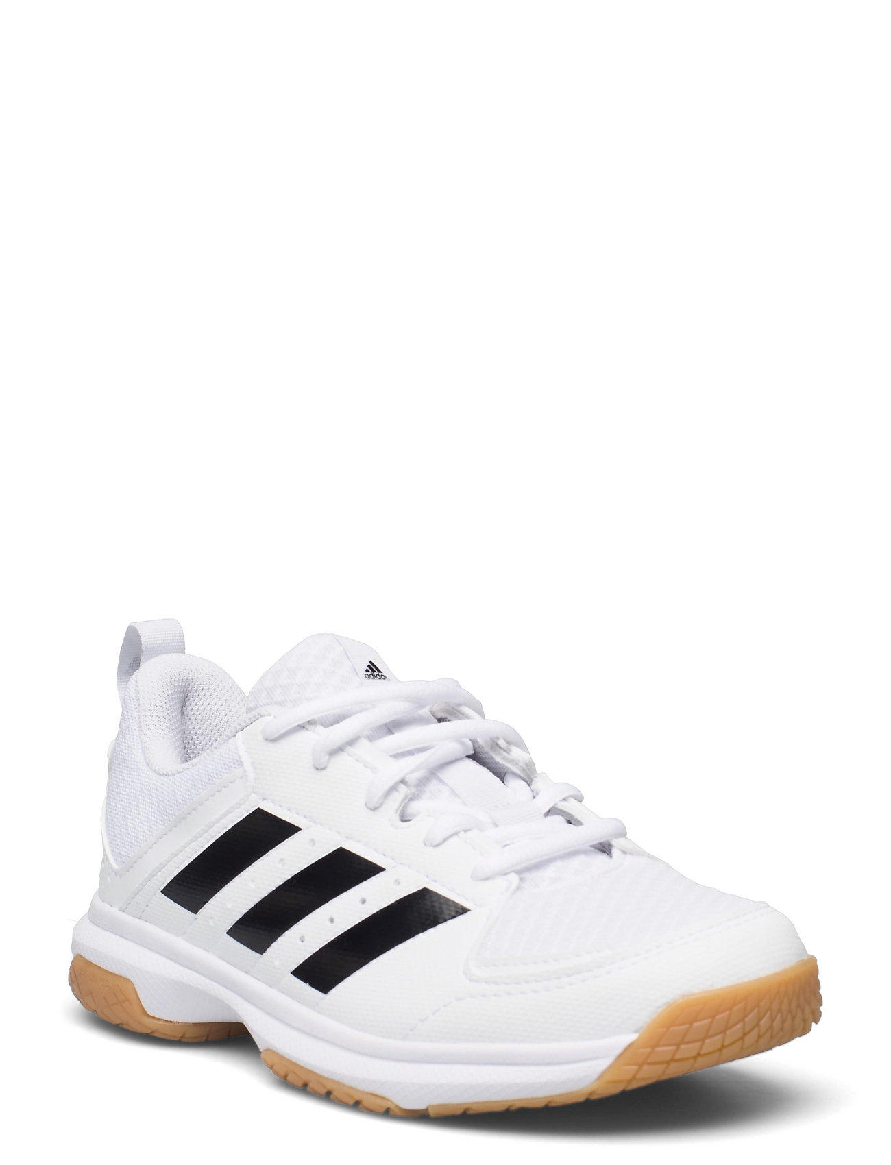 Ligra 7 Womens Indoor Shoes White Adidas Performance