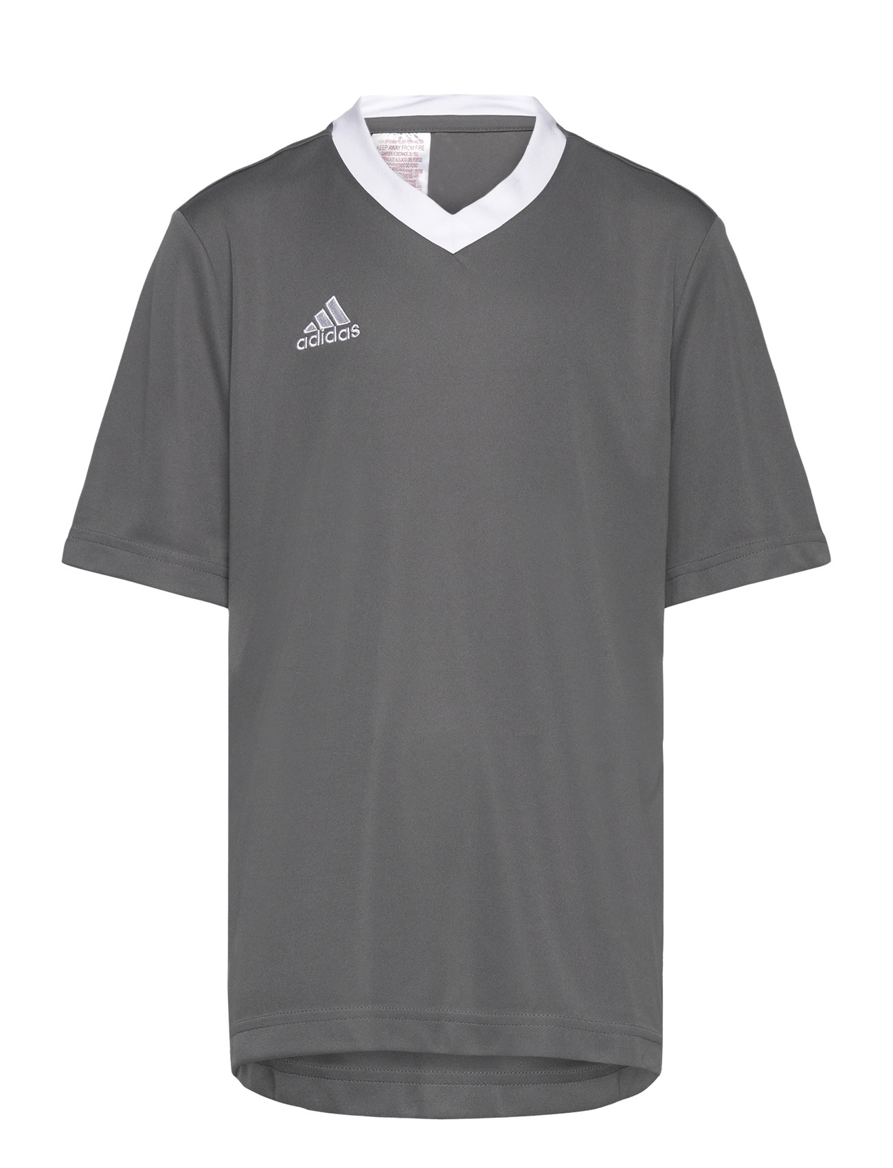 ADIDAS PERFORMANCE Ent22 Jsy Y Grau - 164 - Kinder