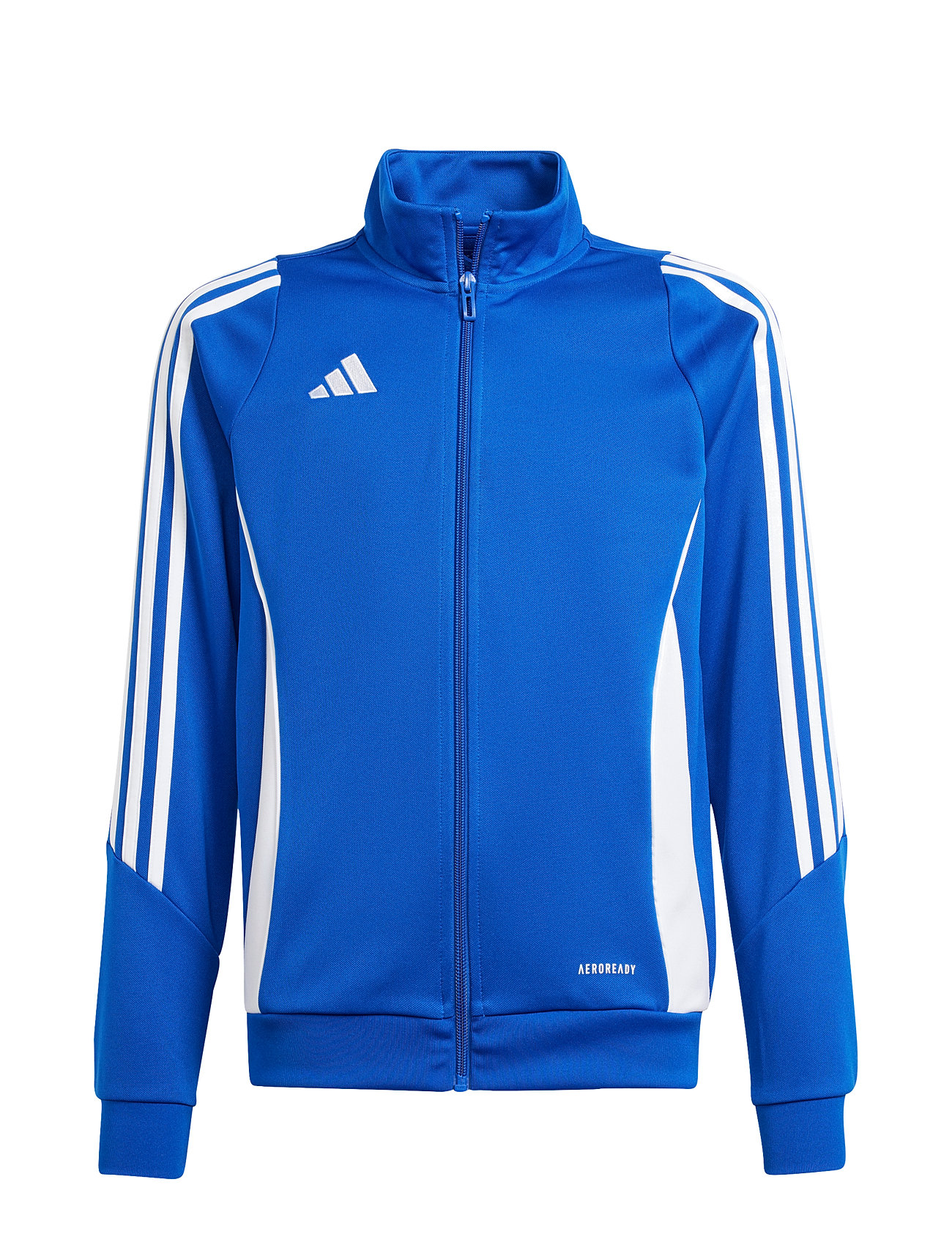 ADIDAS PERFORMANCE Tiro24 Trjkty Blau - 164 - Kinder