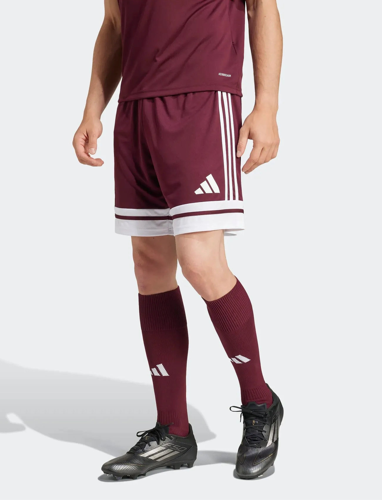 adidas Performance Squa25 Sho M, 3XL, Burgundy, Sport Clothing > Sport Shorts, Herre