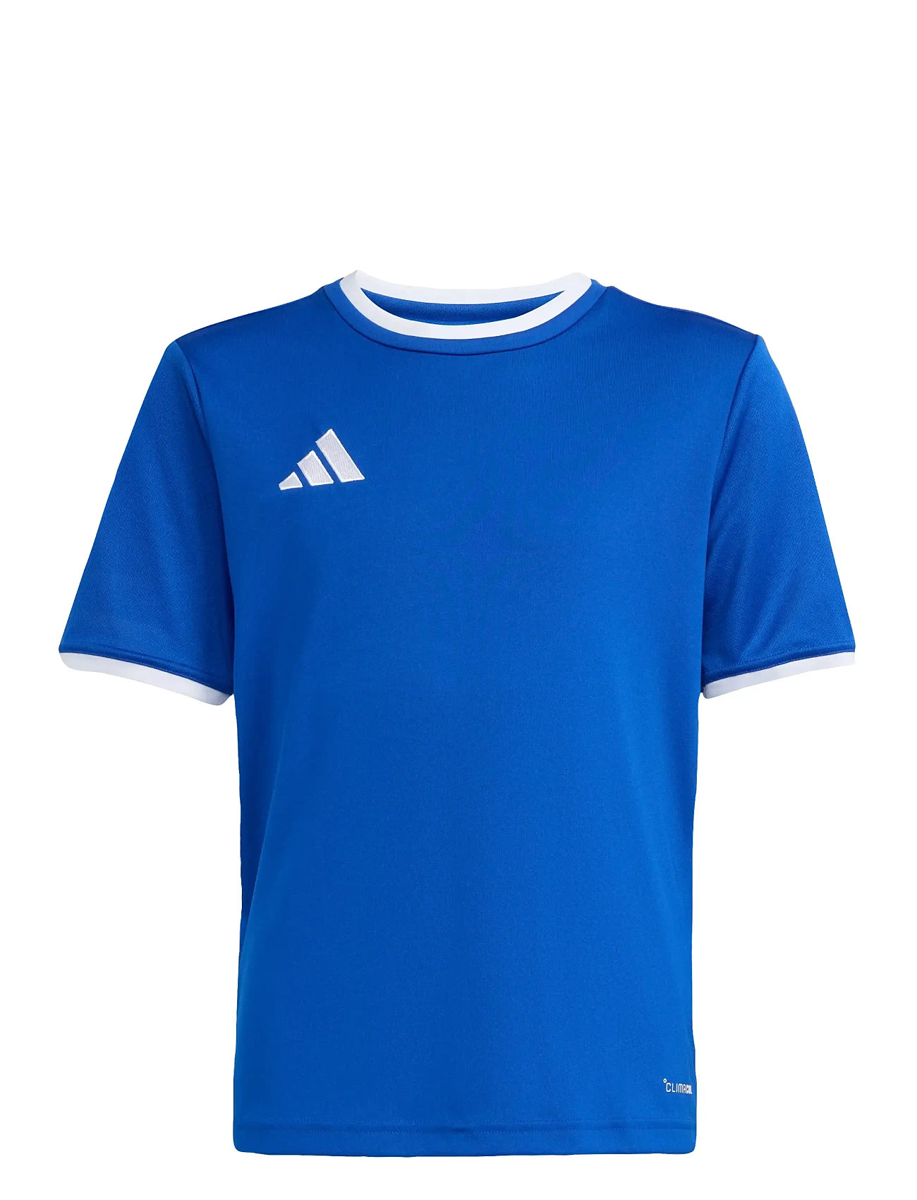 adidas Performance Ent26 Jsy Y, 116, Blue