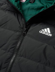 adidas frosty jacket