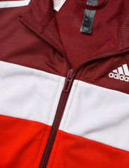 adidas Performance - Essentials Track Suit - tracksuits & 2-piece sets - shared/white/white - 8