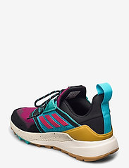 terrex trailmaker blue hiking shoes