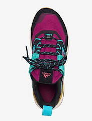 terrex trailmaker blue hiking shoes