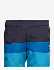 Colorblock Swim Shorts - SHANAV/SKYRUS