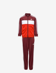 adidas Performance - Essentials Track Suit - tracksuits & 2-piece sets - shared/white/white - 0
