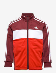 adidas Performance - Essentials Track Suit - tracksuits & 2-piece sets - shared/white/white - 2