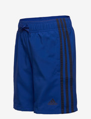 adidas Performance - Essentials 3-Stripes Chelsea Shorts - sweatshorts - royblu/legink - 2