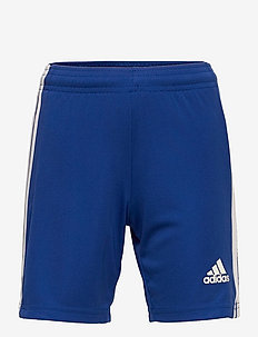 Squadra 21 Shorts - sport shorts - royblu/white