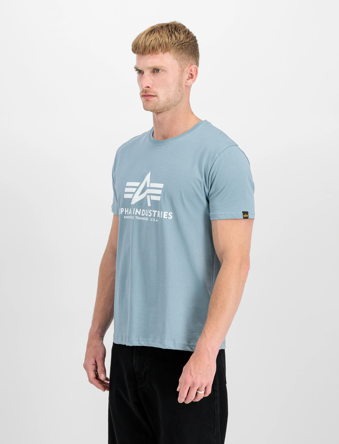 Alpha Industries Basic T-Shirt, M, Blue, T-Shirts > Kortærmede, Herre