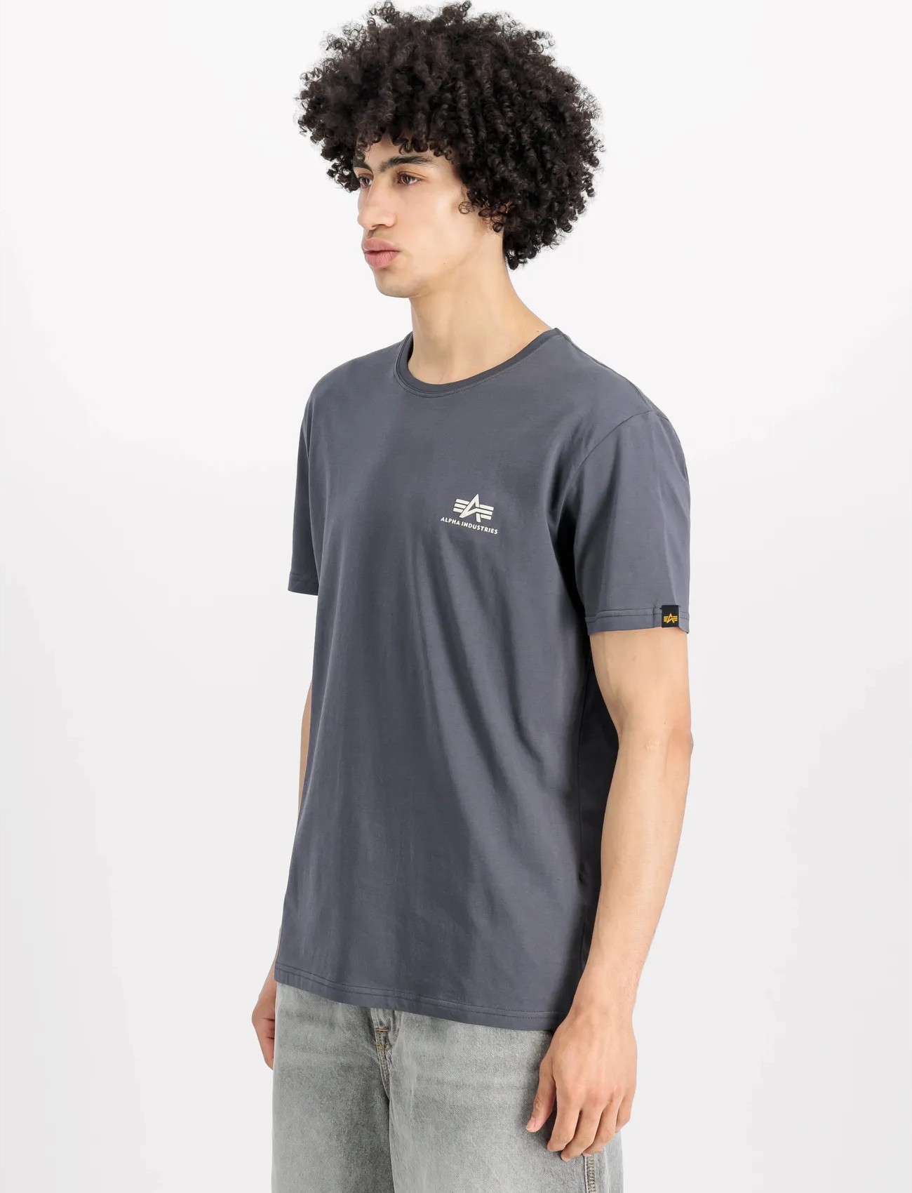 Alpha Industries Basic T Small Logo, XL, Grey, T-Shirts > Kortærmede, Herre
