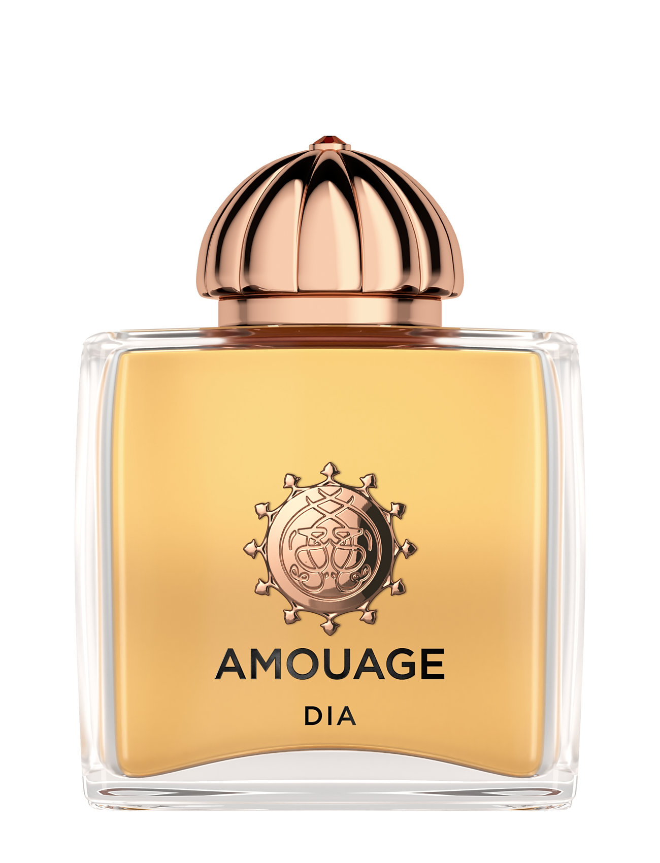 Amouage Dia Woman Edp 100 Ml Parfym Boozt