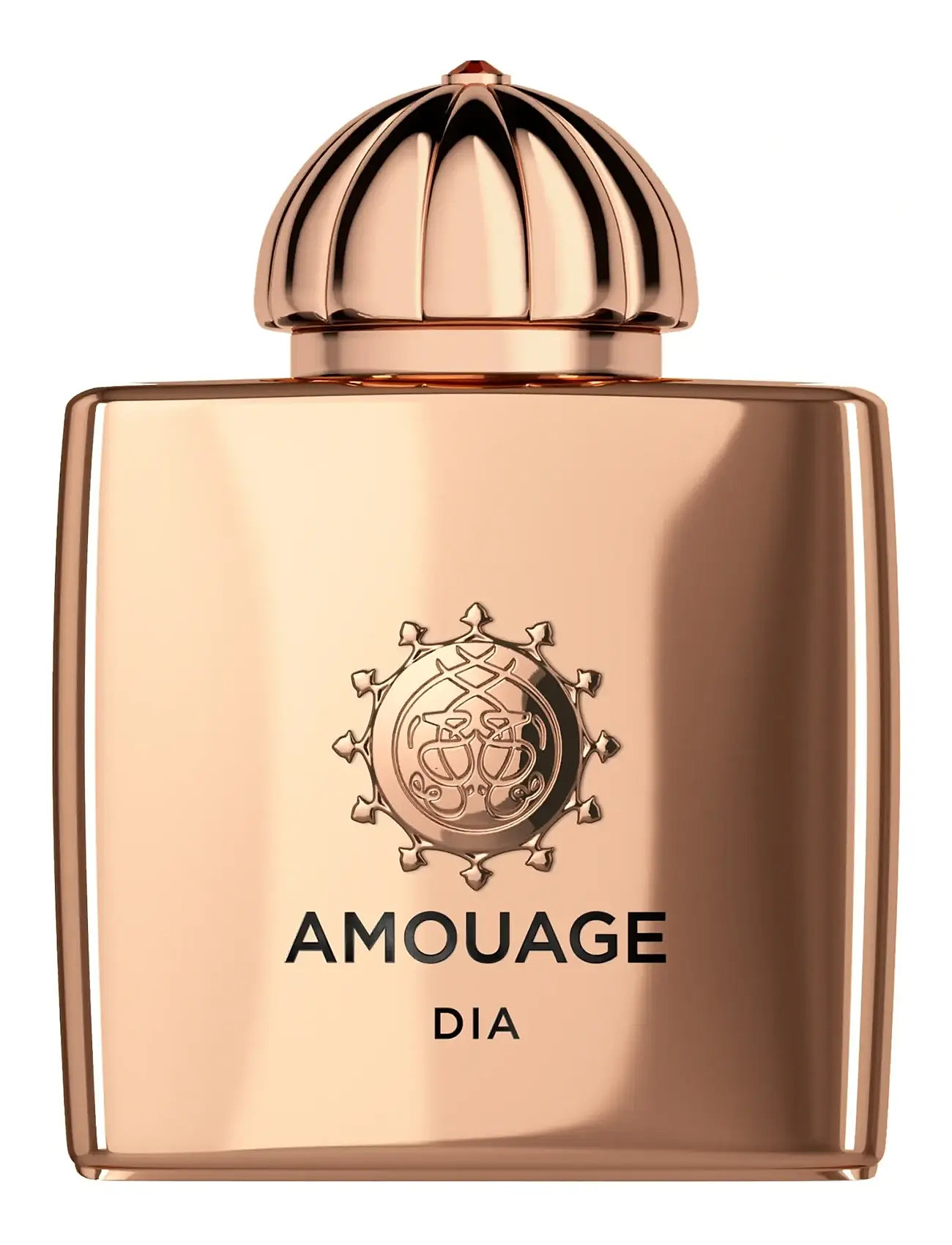 Amouage Amouage Dia Woman Edp 100 ml, 100 ml, Nude, Parfume > Eau De Parfum, Dame