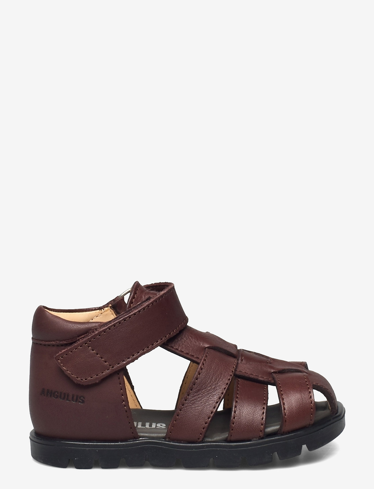 ANGULUS - Sandals - flat - closed toe -  - remmisandaalit - 1547 dark brown - 1
