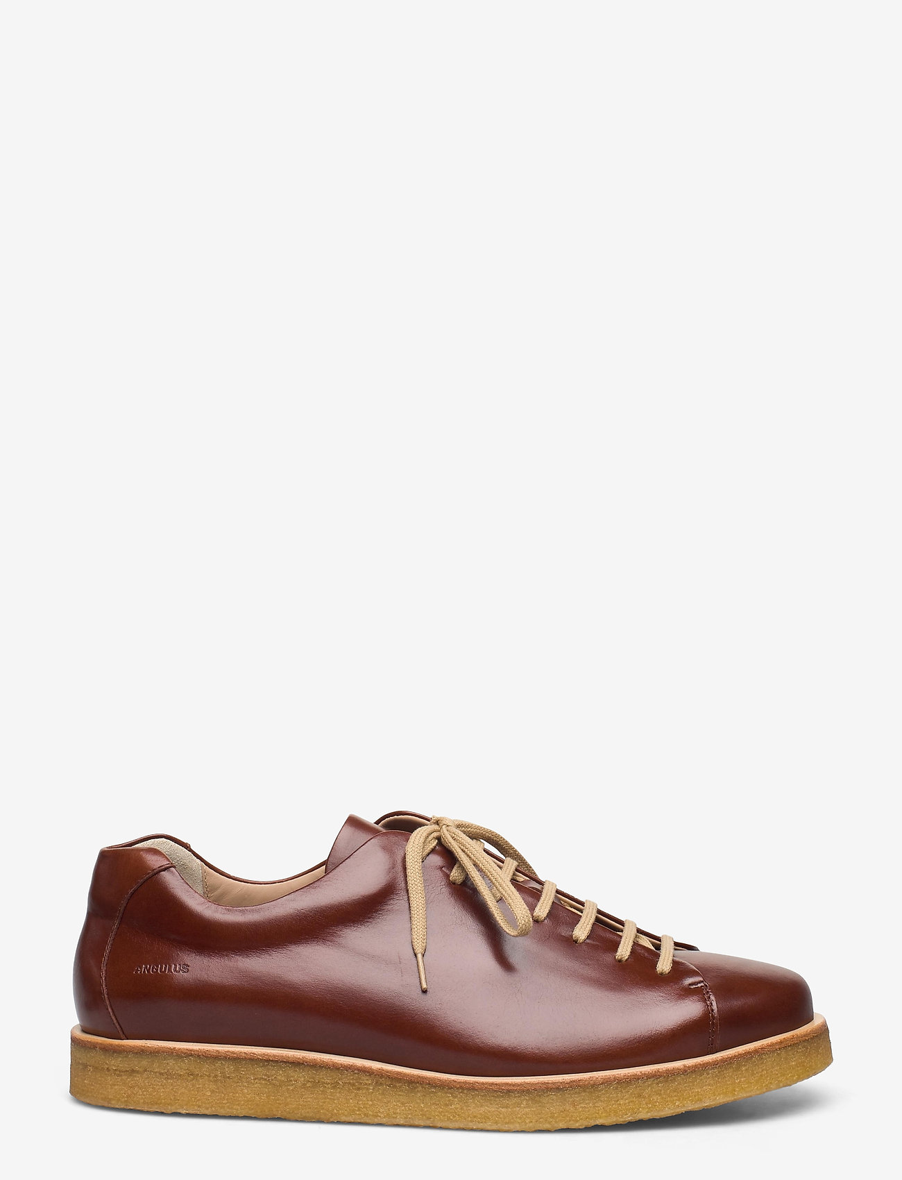 ANGULUS - Shoes - flat - with lace - lave sneakers - 1837 brown - 1
