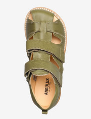 ANGULUS - Sandals - flat - closed toe -  - remmisandaalit - 1418 moss green - 3
