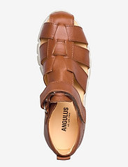 ANGULUS - Sandals - flat - closed toe -  - remmisandaalit - 1545 cognac - 3