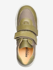 ANGULUS - Shoes - flat - with velcro - matalavartiset tennarit - 1418/1637  mos green/beige - 3