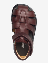 ANGULUS - Sandals - flat - closed toe -  - remmisandaalit - 1547 dark brown - 3