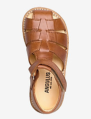 ANGULUS - Sandals - flat - closed toe -  - remmisandaalit - 1838 cognac - 3